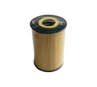 Filtro olio motore H33 749876371200 camion leggero; Elemento filtro olio 7498763712200