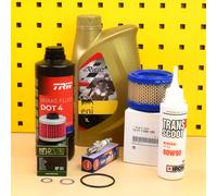 Filtro Olio Originale Aria Eni Candela per Ingranaggi TRW BMW C1 125 200