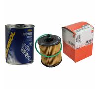 Filtro Olio Originale MAHLE / KNECHT OX 258D + SCT Flush Motore