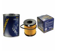Filtro Olio Originale SCT SH 4035 P + SCT Flush Motore