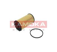 Filtro olio per CITROËN JAGUAR LAND ROVER PEUGEOT 407 607 C5 C6 DISCOVERY RANGE