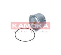 Filtro olio per FORD LAND ROVER DEFENDER DISCOVERY TRANSIT