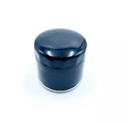 Filtro olio per Hisun per UTV 700cc 500cc 400cc per HS400 per HS500 per Massimo per Bennche per Coleman Componenti per motociclette