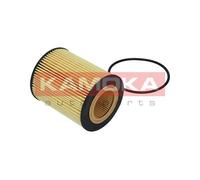 Filtro olio per LAND ROVER VOLVO FREELANDER 2 S60 S80 V60 V70 XC60 XC70 XC90