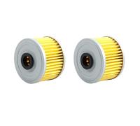 Filtro Olio per Moto Filtro Olio per Moto Adatto per Loncin VOGE Valico 300R/RR/AC/GY/DS Rally 300 300AC 300DS CR6 LX300-6A Filtro Olio per motociclette(2PC)