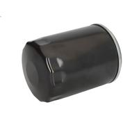 Filtro olio PURRO PUR-PO4021 per TRANSIT V363 Furgone (FCD, FDD) 2 2016-2024