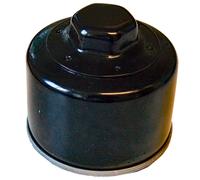 Filtro Olio SGR BMW R 1200 per Moto Ricambi Accessori Pezzi