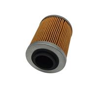 Filtro pacchetto 0800-011300-0004 con molla adatta for CF ATV UTV450 550 800 1000