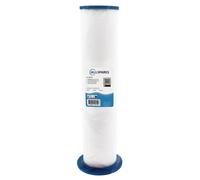 Filtro per acqua termale AllSpares adatto per SC762 / PP1604 / 6473-164
