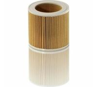 Filtro per aspirapolvere Kärcher 64145520