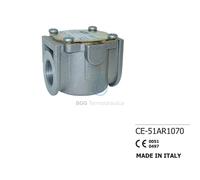 FILTRO PER GAS METANO E GPL CALDAIE MURALI CONDENSAZIONE FMC 2 BAR FF