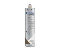 Filtro Everpure BH2