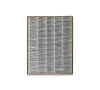 Filtro per purificatore d'aria Toshiba CAF-H30(W) CAF-X50XPL