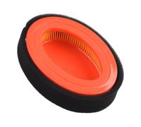 Filtro per tosaerba Powersmart DB8621CR/DB8621PR, adatto a motori da 150 cc e 174 cc