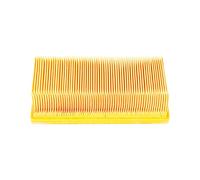 Filtro pieghevole piatto adatto per Kärcher SE3001 SE2001 A2731 SE6100 A2701 SE5100 A2801