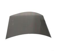 Filtro polare in plastica per pellicola da 10 pollici per display del | Effetto antiriflesso, migliora la leggibilità, per LCD, plastica robusta, colore grigio