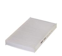 Filtro Pollen Interno 285-161Mm 30Mm HENGST FILTER Per U.A. IVECO DAILY III