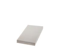 Filtro Pollen Interno 348-163mm 30mm HENGST FILTER Per U.A. FORD FOCUS I