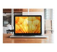 3M Filtro privacy BP130C3E - schermo anti-riflesso senza bordi per display 33 cm (13")