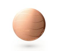 AeroPress Filtri per caffè in metallo dorato - Filtri riutilizzabili per macchine da caffè AeroPress (XL)