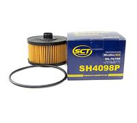 Filtro SH 4098 P