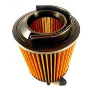 Filtro Aria Sportivo Sprintfilter P310S VW Jetta VI (A6)