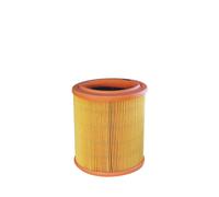 Filtro aria FILTRON AE311/1