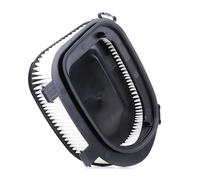 FILTRON AK 362/6 Filtro aria per BMW X5 (E70) X3 (F25) X6 (E71, E72) X5