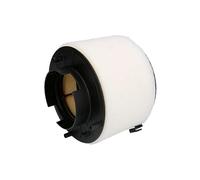 Filtron Filtro aria AK 371/8 – Cartuccia per Audi A4 B8 Avant, A5 (8T3), Q5 (2008-2017)