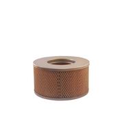 FILTRON AM 352/2 Filtro aria