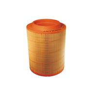 FILTRON AM 455/2 Filtro aria