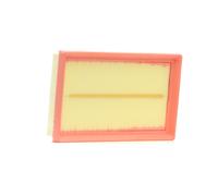 Filtro aria FILTRON AP 022/6