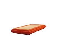 Filtro aria FILTRON AP025