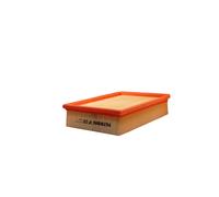 Filtro aria FILTRON AP028