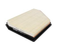 Filtron Filtro aria AP 030/6 per BMW X5 X6 X7 (G05/F95 4.4 2019-2023)
