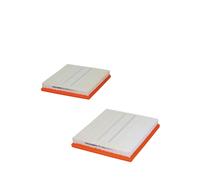Filtron Filtro aria AP034/6-2X - Compatibile con Mercedes-Benz Classe M, Classe E (W211) 2006-2008