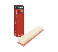 Filtro aria FILTRON AP058/3
