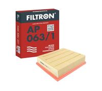 Filtro aria FILTRON AP063/1