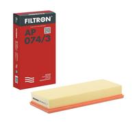 Filtro aria FILTRON AP074/3
