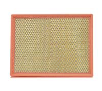 Filtro aria FILTRON AP 074/8
