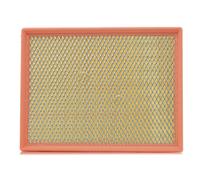 Filtro aria FILTRON AP 074/8