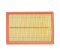 FILTRON AP 074/9 Filtro aria per FORD C-Max II (DXA/CB7, DXA/CEU) Grand C-Max