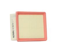 Filtro aria FILTRON AP080/10