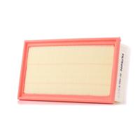 FILTRON AP 090/9 Filtro aria per CITROËN,DS,FIAT,OPEL,PEUGEOT,TOYOTA,VAUXHALL