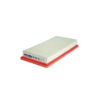 Filtro aria FILTRON AP092/10