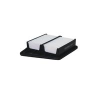 Filtro aria FILTRON AP102/5