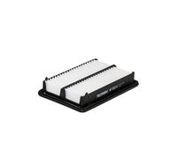 Filtro aria FILTRON AP 105/8