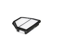 Filtro aria FILTRON AP109/5
