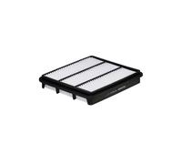 Filtro aria FILTRON AP 109/6