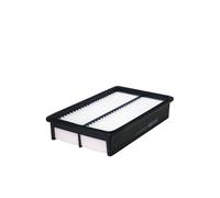 Filtro aria FILTRON AP113/4